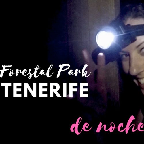 Forestal Park Tenerife – de noche